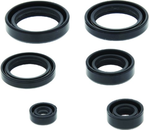 QuadBoss Oil Seal Set