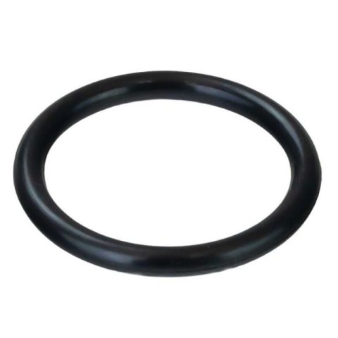 Moroso 1-1/4in 12 Thread Filler Cap O-Ring