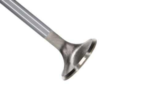 Manley Ford Modular Coyote 5.0L Gen III Race Master Series Intake Valve - 1.485in Dia