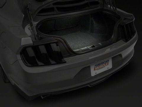 Raxiom15-23 Ford Mustang Axial Series Stage 2 Interior LED Lighting Kit- Cool White