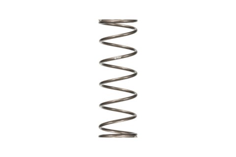 Eibach ERS 11in L x 5.00in OD Platinum Rear Spring - 200 lbs/in