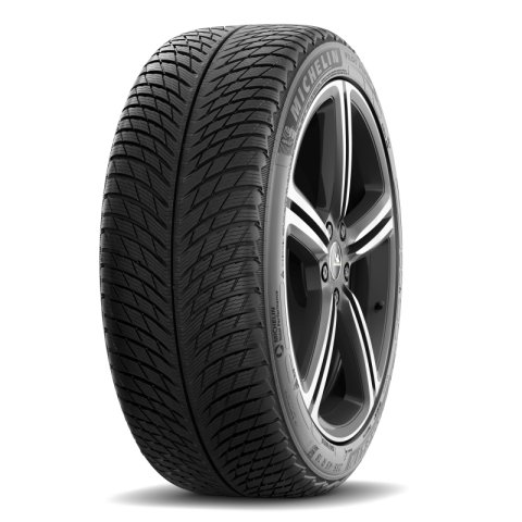Michelin Pilot Alpin 5 295/30R20 101V XL