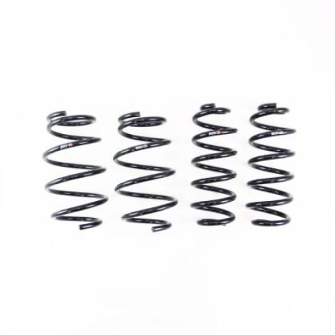 RS-R 03-05 Honda Odyssey RB1/RB2 Down Sus Springs (Special Order No Returns/Cancellation)