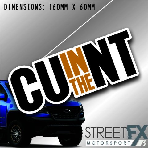 C U In the NT Sticker Decal C*nt Sticker Funny Humour Car  4x4 Pop Culture