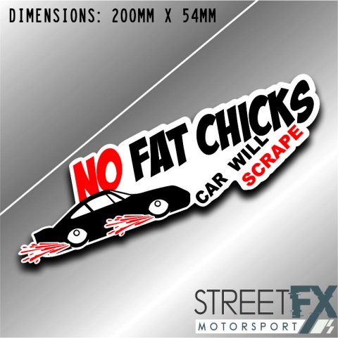 No Fat Chicks Car Will Scrape Sticker Funny Humour Car  Ute  4x4 Pop Culture