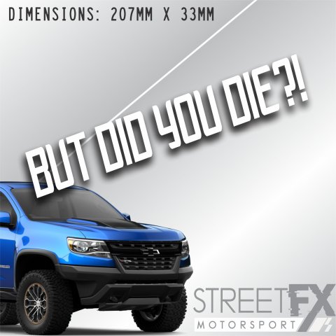But did you die? Sticker decal Funny Hang on 4x4 Hoon Drift Race offroad trust