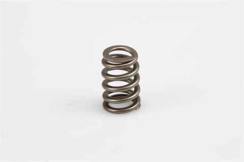 Manley Ford 4.6L/5.4L SOHC NexTek Series High Performance Valve Springs (2 valves per cylinder)