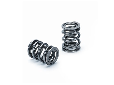 Supertech Honda B16A/B17A/B18C Dual Valve Spring - Set of 16
