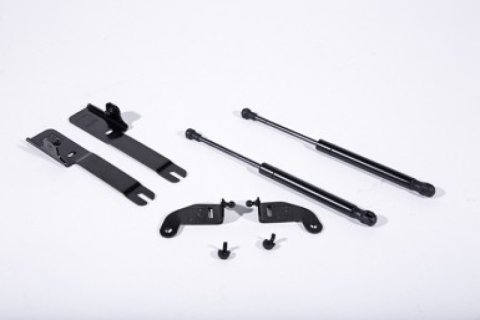 Roush 2015-2023 Ford Mustang Hood Strut (w/o Active Hood Safety)