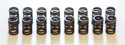 HKS 91-00 Infiniti G20 SR20DET Outer Valve Spring Set