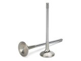 Supertech Audi/VW 1.8T 5V Inconel Exhaust Valve - Set of 8 thumbnail 1
