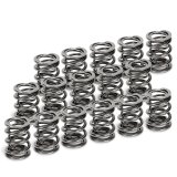 Supertech Toyota Supra 2JZ-GE/2JZ-GTE Dual Valve Spring - Set of 16 thumbnail 1