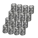 Supertech Toyota Supra 2JZ-GE/2JZ-GTE Single Valve Spring - Set of 16 thumbnail 1