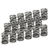 Supertech Toyota Supra 2JZ-GE/2JZ-GTE Single Valve Spring - Set of 16 thumbnail 2