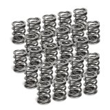 Supertech BMW M50/M52/S50/S52 Dual Valve Spring - Set of 24 thumbnail 1