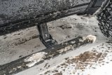 AMP Research 19-22 Ram 1500 Crew Cab PowerStep Xtreme - Black (Incl OEM Style Illumination) thumbnail 2