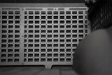 Addictive Desert Designs 21-23 Dodge Ram TRX Bed Cab Molle Panels - Full Set thumbnail 7