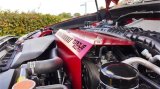 Torque Solution Engine Pulley Cover 2015+ Subaru WRX/2014+ Forester XT - Red thumbnail 3