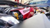Torque Solution Engine Pulley Cover 2015+ Subaru WRX/2014+ Forester XT - Red thumbnail 7