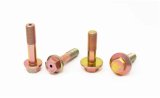 Torque Solution HD Cam Bolt Kit Subaru EJ Single AVCS IN/EX thumbnail 3