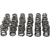 Manley Toyota Supra 2JZ 6 Cyl. Valve Spring and Retainer Kit (w/o Valve Locks) thumbnail 1