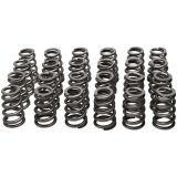 Manley Toyota Supra 2JZ 6 Cyl. Valve Spring and Retainer Kit (w/o Valve Locks) thumbnail 5