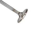 Manley Toyota Land Cruiser 4.5L (1FZ-FE) 38MM Race Flo Intake Valves thumbnail 4