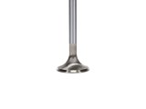 Manley Ford Coyote 5.0L 31mm Extreme Duty Exhaust Valves (Set of 8) thumbnail 8
