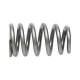 Manley Chrysler Hemi 6.4L NexTek Series High Performance Valve Springs .650 Max Lift - Single thumbnail 7