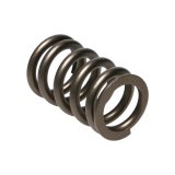 Manley 90-06 Mitsubishi (4G63-4G63T) 16pc Valve Springs (1.100/.775) thumbnail 2