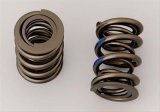 Manley Nissan (RB26DET) 24pc Valve Springs thumbnail 1