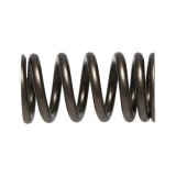 Manley Toyota (3UR-FE) 32pc Valve Springs thumbnail 4