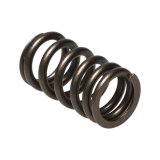 Manley Toyota (3UR-FE) 32pc Valve Springs thumbnail 5