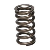 Manley Toyota (3UR-FE) 32pc Valve Springs thumbnail 9