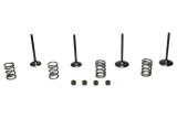 Wiseco 06-11 Suzuki LT-R450 Steel Valve Set thumbnail 2