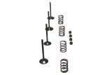 Wiseco 06-11 Suzuki LT-R450 Steel Valve Set thumbnail 5