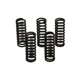 Wiseco Yamaha YZ125/660R Raptor Clutch Spring Kit thumbnail 6