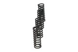 Wiseco CRF450R/XL600/XR650R Clutch Spring Kit thumbnail 7