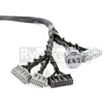 Rywire Honda B-Series OBD1 Tuck Budget Eng Harness w/OBD1 Dist/Inj/Alt/92-95 ECU Plugs (Adapter Req) thumbnail 2