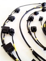 Rywire Honda S2000 AP1/AP2 (Early) Mil-Spec Engine Harness w/OEM Coils/Injector/ECU Plugs thumbnail 1