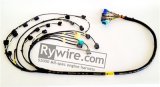 Rywire Honda S2000 AP1/AP2 (Early) Mil-Spec Engine Harness w/OEM Coils/Injector/ECU Plugs thumbnail 3