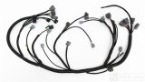 Rywire 92-95 Honda Civic w/B-Series / 94-01 Acura Integra (LHD Only) OEM Replacement Engine Harness thumbnail 1