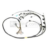 Rywire Honda K24 Mil-Spec Harness w/K24 Knock/Crank Sensor (D/S Only / Note Injectors/VSS on PO) thumbnail 1