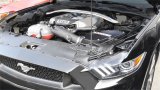 Corsa 2015-2017 Ford Mustang GT 5.0L V8 Cold Air Intake with MaxFlow 5 Oiled Filter thumbnail 6