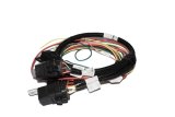 FAST Harness FAST Fan And Fuel Pump thumbnail 3