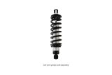 QA1 Proma Star Series Coil-Over Shock Absorber - Double Adj. - Bushing Mount - 12.625in/18.75in thumbnail 3