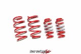 Tanabe NF210 Springs 15-16 Lexus NX200T F-Sport FWD thumbnail 3