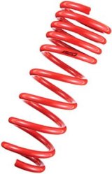 Tanabe DF210 Springs 06-07 GS300 thumbnail 2