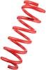Tanabe NF210 Springs 13-14 Nissan Sentra thumbnail 2