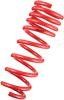 Tanabe DF210 Springs 2015 Honda Fit 1.5L / 2.0L thumbnail 2